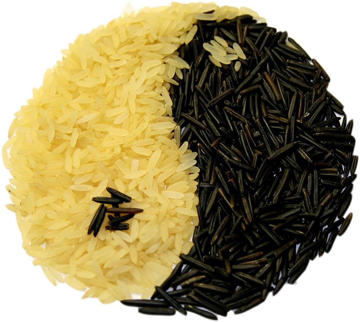 西關(guān)海邁向可持續(xù)繁榮的新征程最新動(dòng)態(tài)