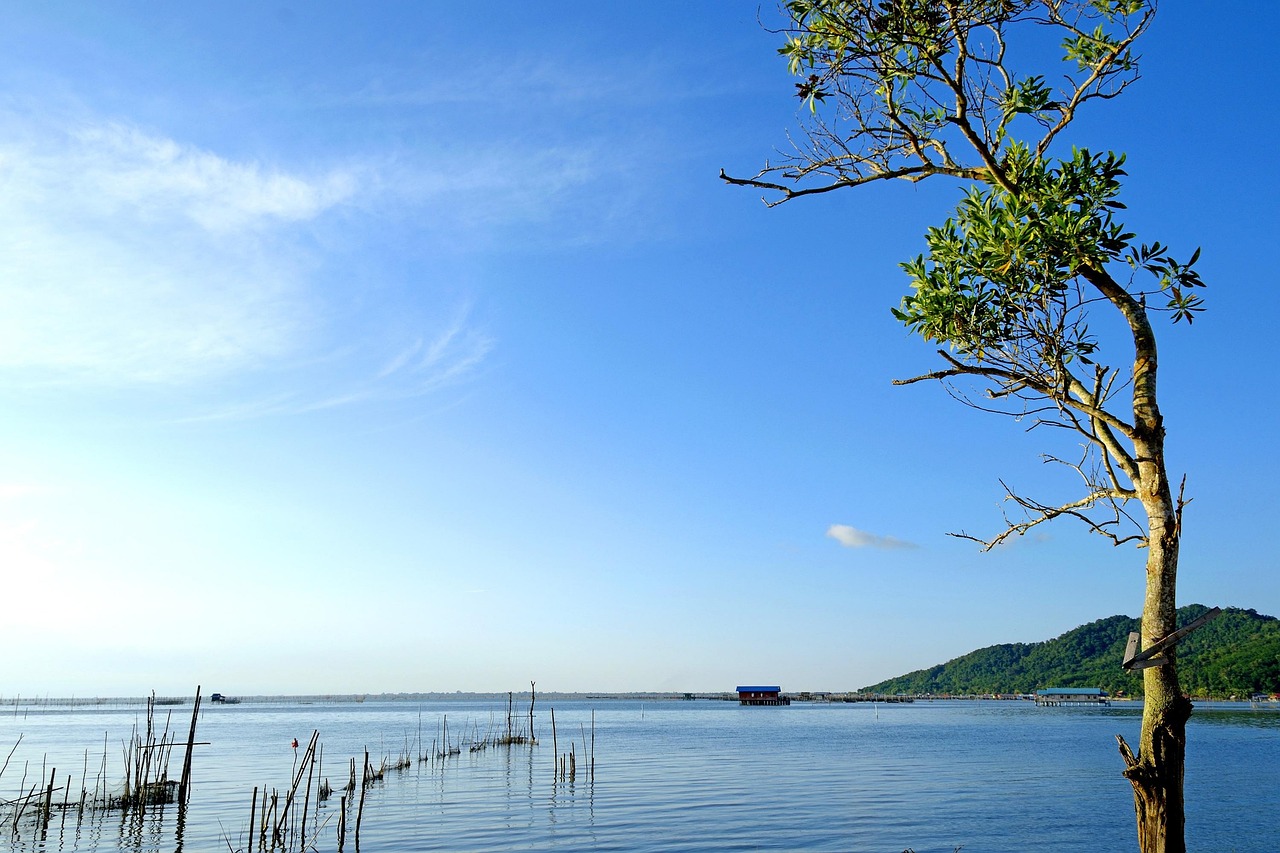 臨湘最新房?jī)r(jià)動(dòng)態(tài)及市場(chǎng)走勢(shì)，購(gòu)房指南與實(shí)時(shí)更新數(shù)據(jù)